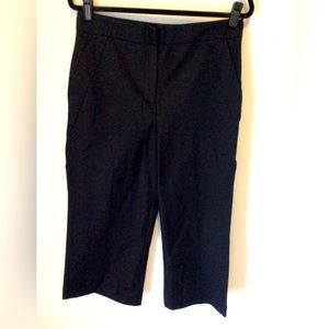 ANN TAYLOR FACTORY THE WIDE LEG SIZE  10p